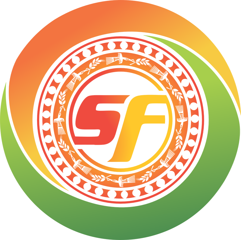 壮美盛丰 logo